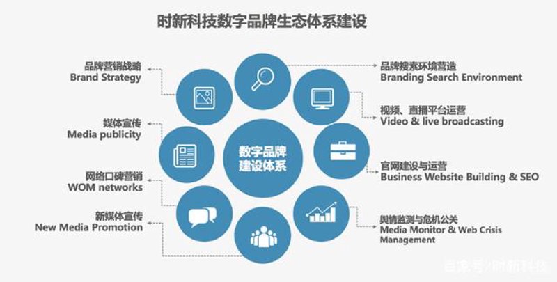 网页设计行业的演变之路：从静态到动态